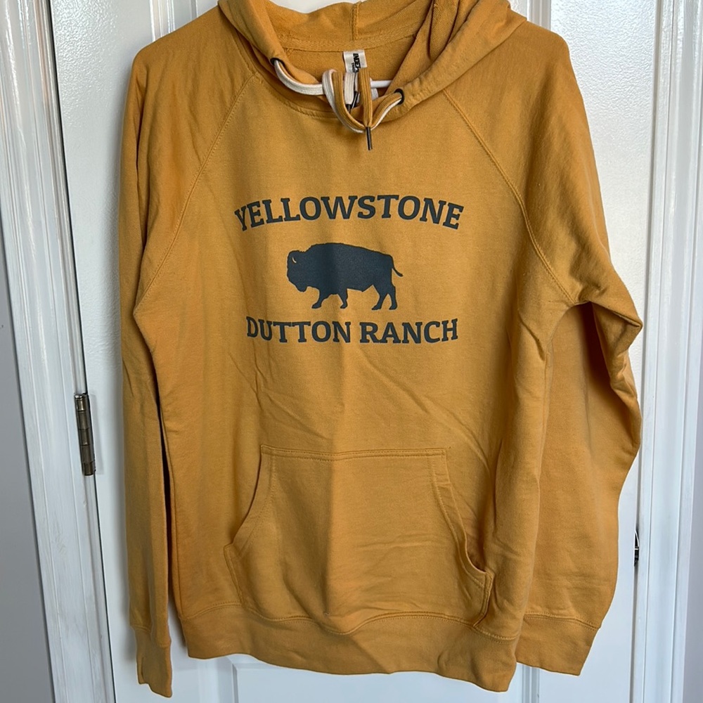 Hoodie, Women’s size small, worn once